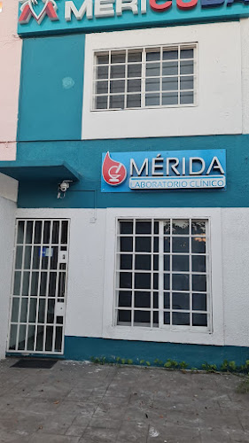 CLÍNICA MERICUBA