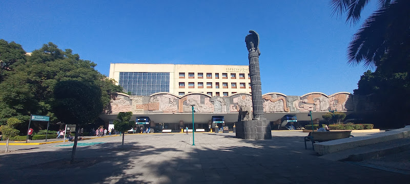 UMAE Hospital de Especialidades Dr Bernardo Sepúlveda Gutiérrez, Centro Medico Siglo XXI