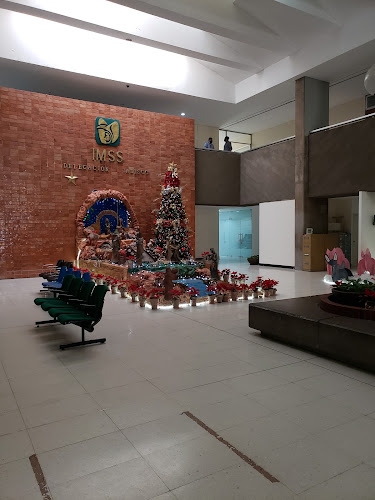 IMSS Jalisco Delegation