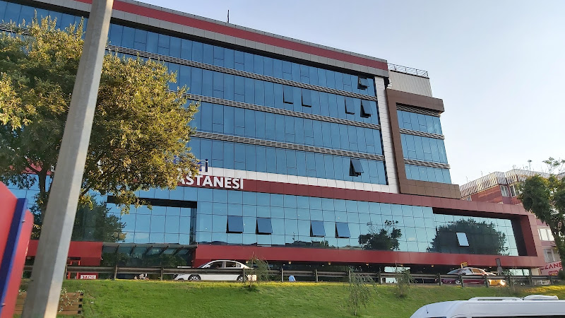 Private Hospital Arrhythmia Osmangazi