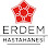 Erdem Hospital logo