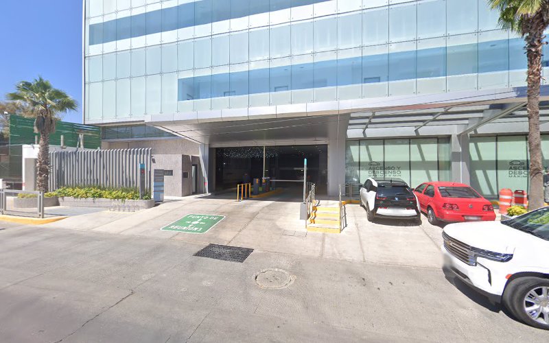 Neurologia y Neurofisiologia Clínica